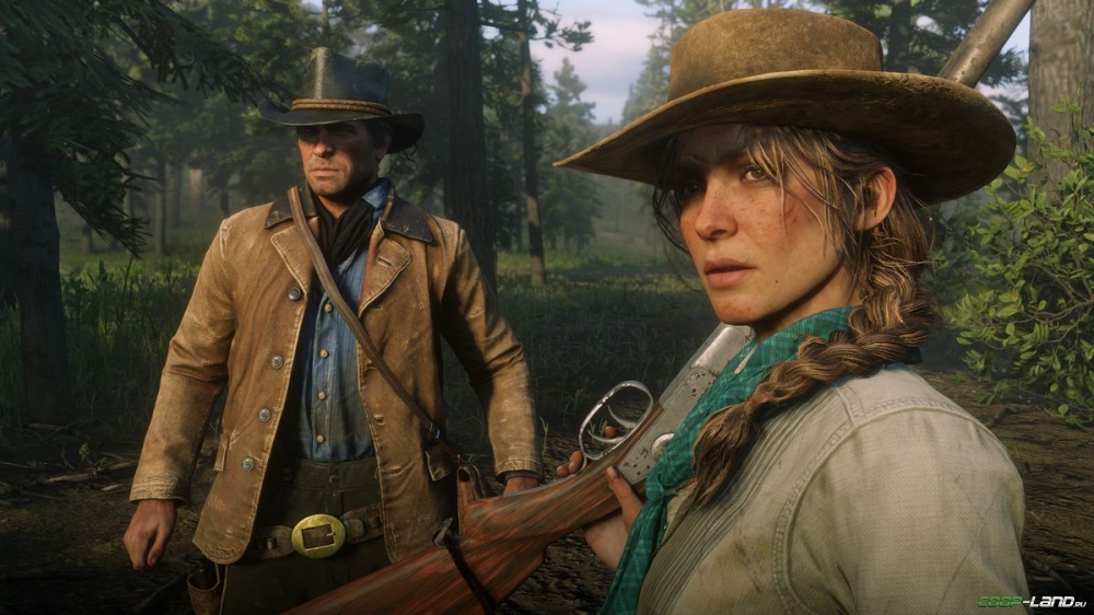      Red Dead Redemption 2