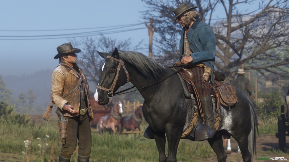      Red Dead Redemption 2