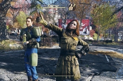  Fallout 76:   []