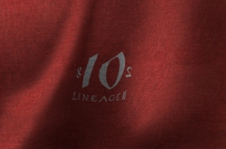 Lineage 2 отметила 10-летний юбилей