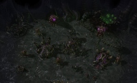 StarCraft 2: Heart of the Swarm
