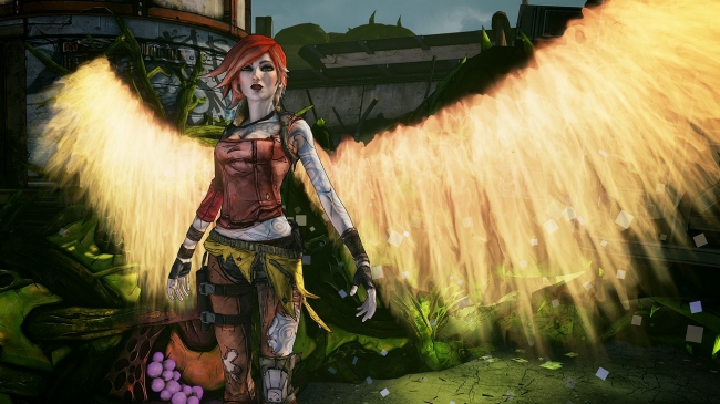  Borderlands 2          
