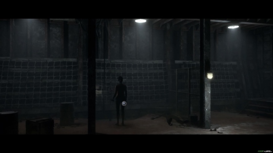     The Dark Pictures Anthology: Man of Medan:   ,  , 