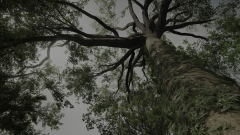 Tom Clancys Ghost Recon Breakpoint