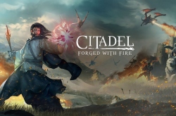 Citadel: Forged with Fire