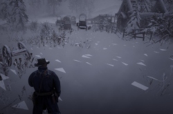 Red Dead Redemption 2    ,       .      