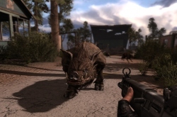 S.T.A.L.K.E.R.:   soProject -    