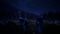 Citadel: Forged with Fire