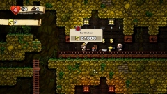 Spelunky Spelunky