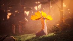 Everwild: создатели Sea of Thieves выпустят новую приключенческую игру про лес Everwild: создатели Sea of Thieves выпустят новую приключенческую игру про лес