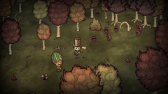 Don't Starve Together