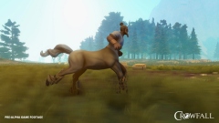 �������� ���� ������� ������� ������� ������ ��� Crowfall ����� ���������� Coop-Land