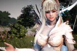 Steam    Black Desert
