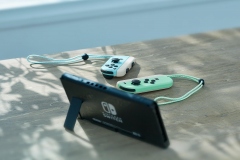 Nintendo �������� ������������ ������ ������� Switch ����������� Animal Crossing: New Horizons