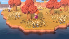 Все, что надо знать об Animal Crossing: New Horizons: необитаемые острова, фермерство и туризм Все, что надо знать об Animal Crossing: New Horizons: необитаемые острова, фермерство и туризм
