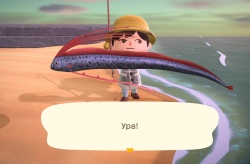 Обзор Animal Crossing: New Horizons