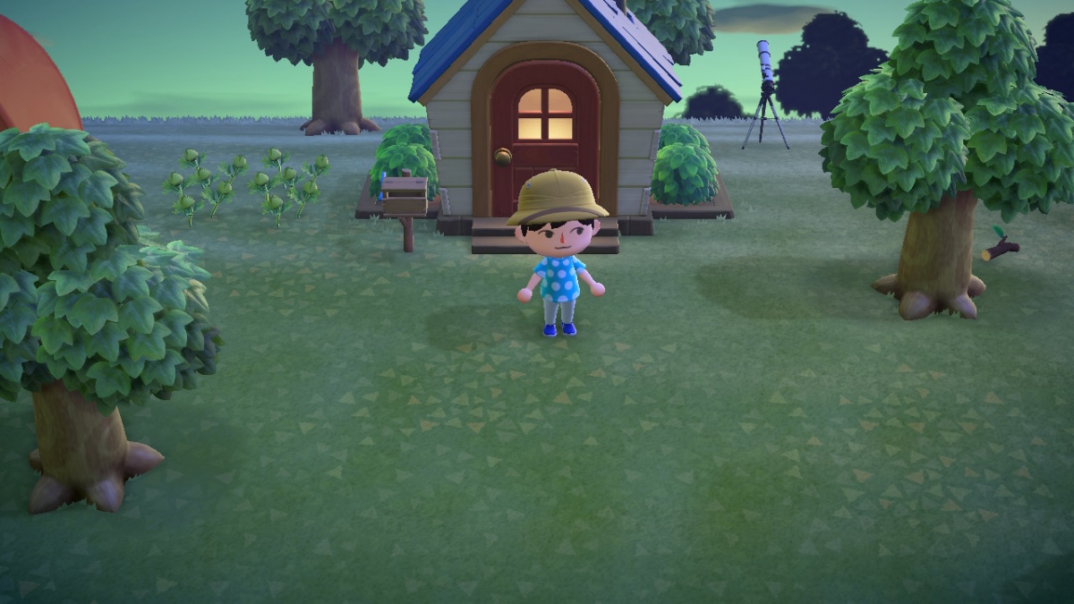  Animal Crossing: New Horizons