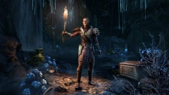 The Elder Scrolls Online            