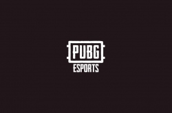  PUBG Global Series ,    20  