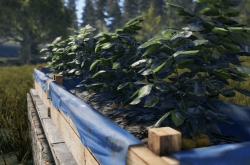 Rust превратили в симулятор сельского хозяйства