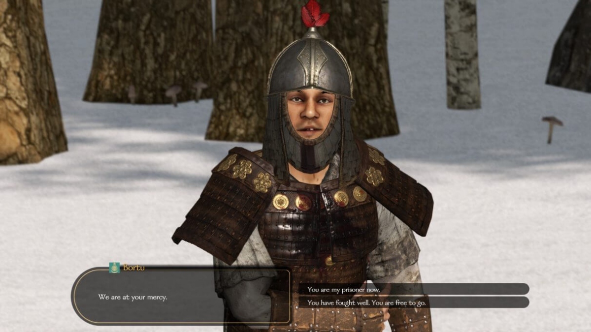   Mount & Blade 2,      