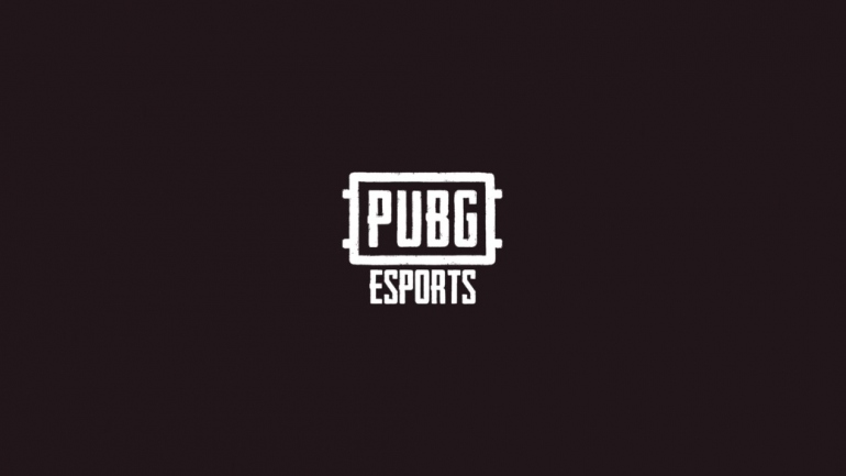  PUBG Global Series ,    20  