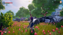 Frozen Flame           2020