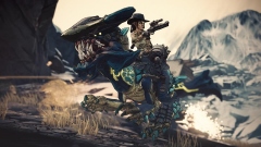 Borderlands 3     :     
