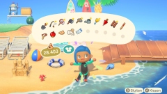       Animal Crossing New Horizons   