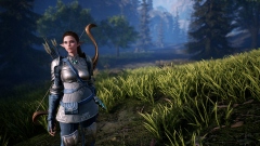 Bless Unleashed ������� � Steam � ������ 2021 ����, ������������ ����� ��������� � ��������� ����������