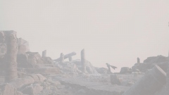 MMORPG RISE    -      Crimson Desert