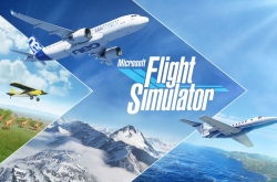 Microsoft Flight Simulator