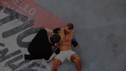  EA Sports UFC 4