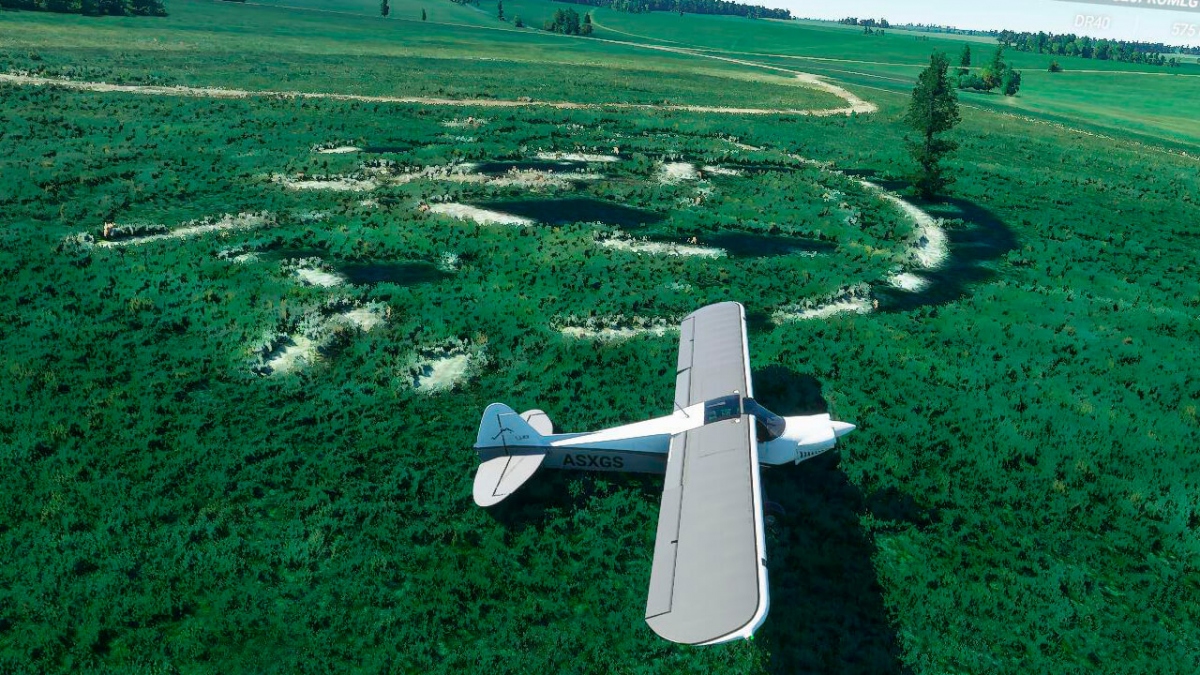  Microsoft Flight Simulator    200- ,         