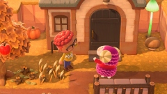  Animal Crossing New Horizons     