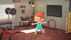  Animal Crossing New Horizons     