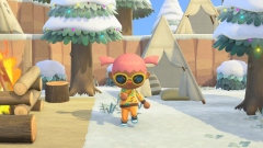  Animal Crossing New Horizons     