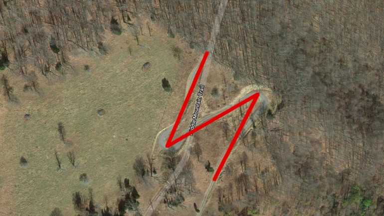  GTA VI    GTA Online