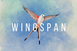 Wingspan ()