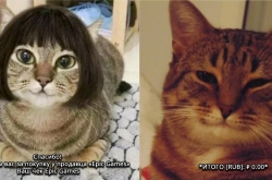 Epic Games  :  Cities: Skylines