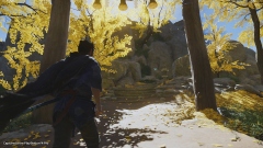 Ghost of Tsushima ( )