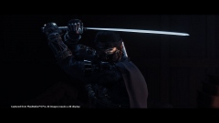 Ghost of Tsushima ( )