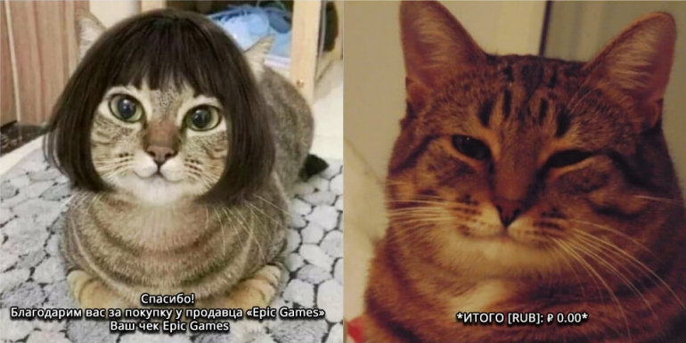 Epic Games  :  Cities: Skylines