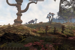 Неудача Isles of Adalar: кооперативная конверсия Elder Scrolls и Gothic разочаровала игроков