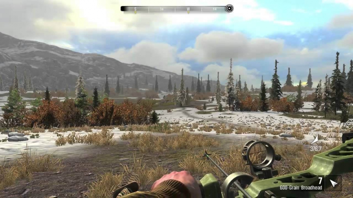 ���� �� �����. ���� � ������ ���������� ���������