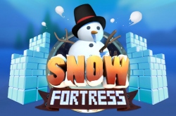 Snow Fortress