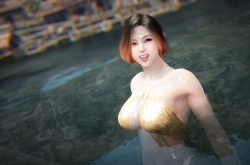 Pearl Abyss  Steam- Black Desert