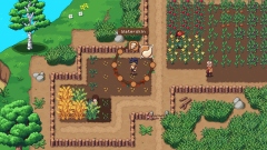 Roots of Pacha      ,       