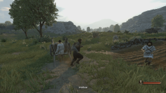 Bannerlord Online     Mount & Blade II: Bannerlord