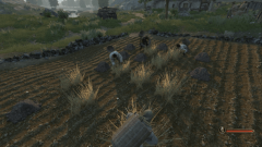 Bannerlord Online     Mount & Blade II: Bannerlord